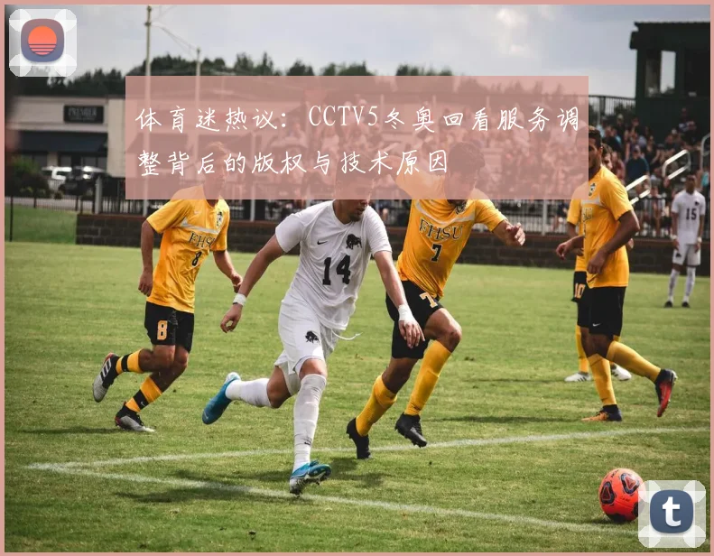 体育迷热议：CCTV5冬奥回看服务调整背后的版权与技术原因